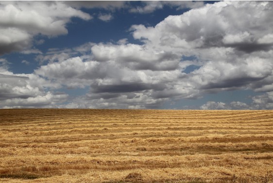 Alentejo
